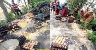 পৌনে তিন লাখ টাকার ডিম রাস্তায় ফেলে নষ্ট করার ঘটনায় তদন্ত