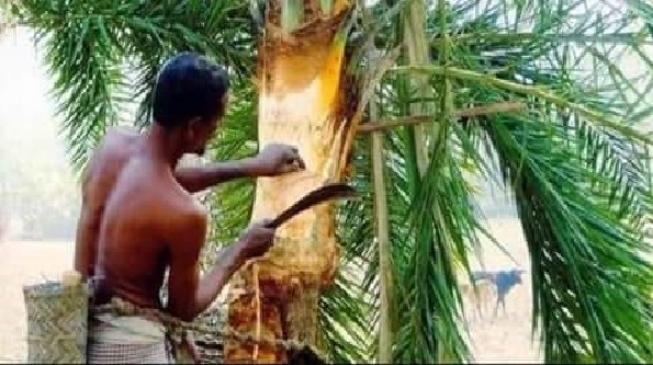 হারিয়ে যাচ্ছে গ্রাম বাংলার খেজুরের রস!