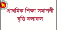 সমাপনী পরীক্ষায় বৃত্তি পাচ্ছে সাড়ে ৮২ হাজার শিক্ষার্থী