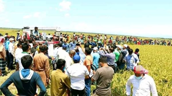 লকডাউন ভেঙ্গে হাওরে জনস্রোত, পদদলিত কৃষকের হাঁসি!